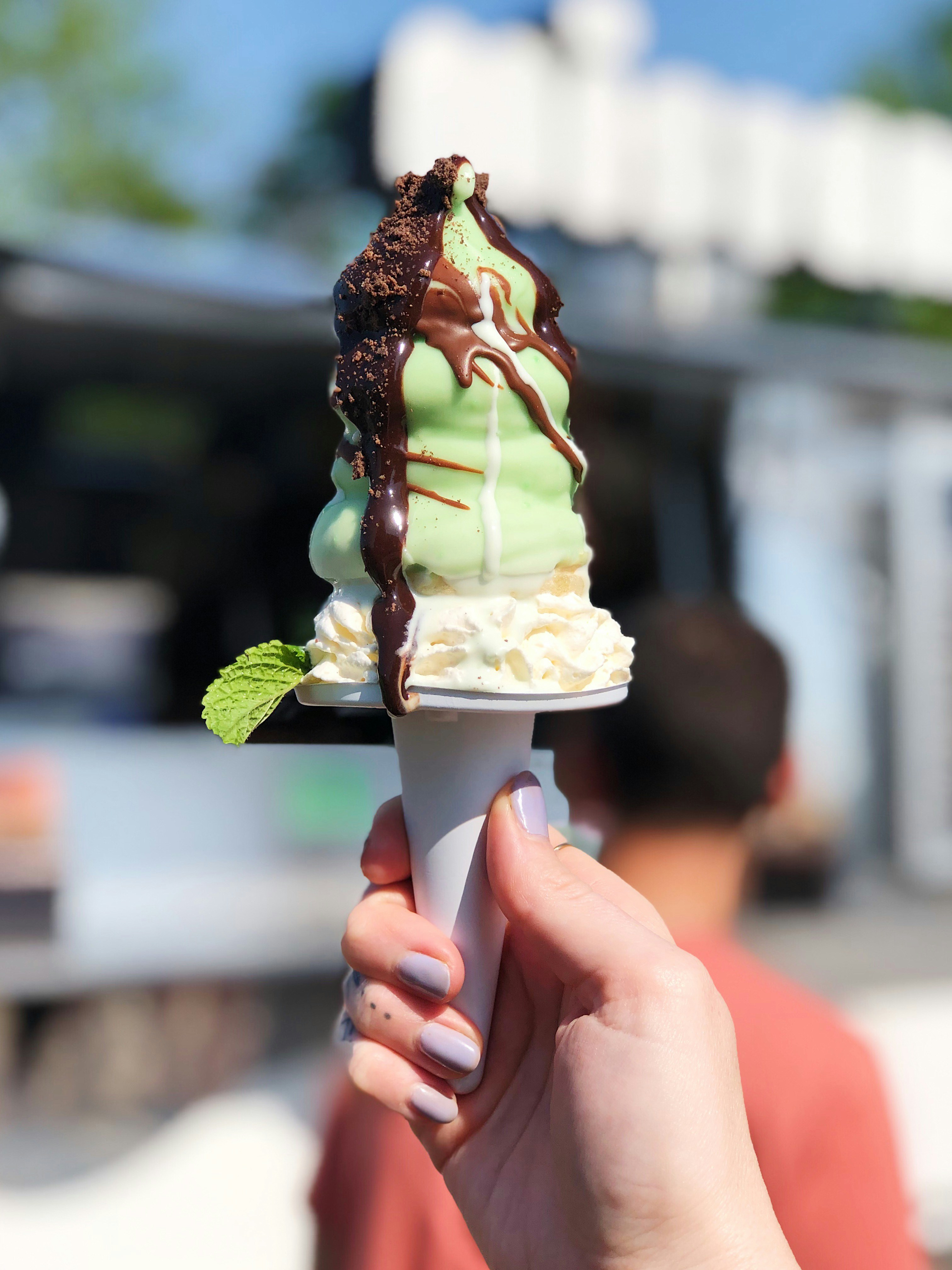 Mint Chip Ice Cream